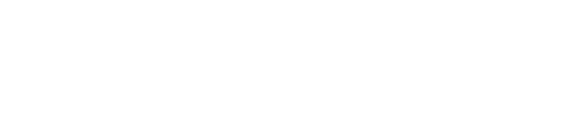sprintray-logo-white